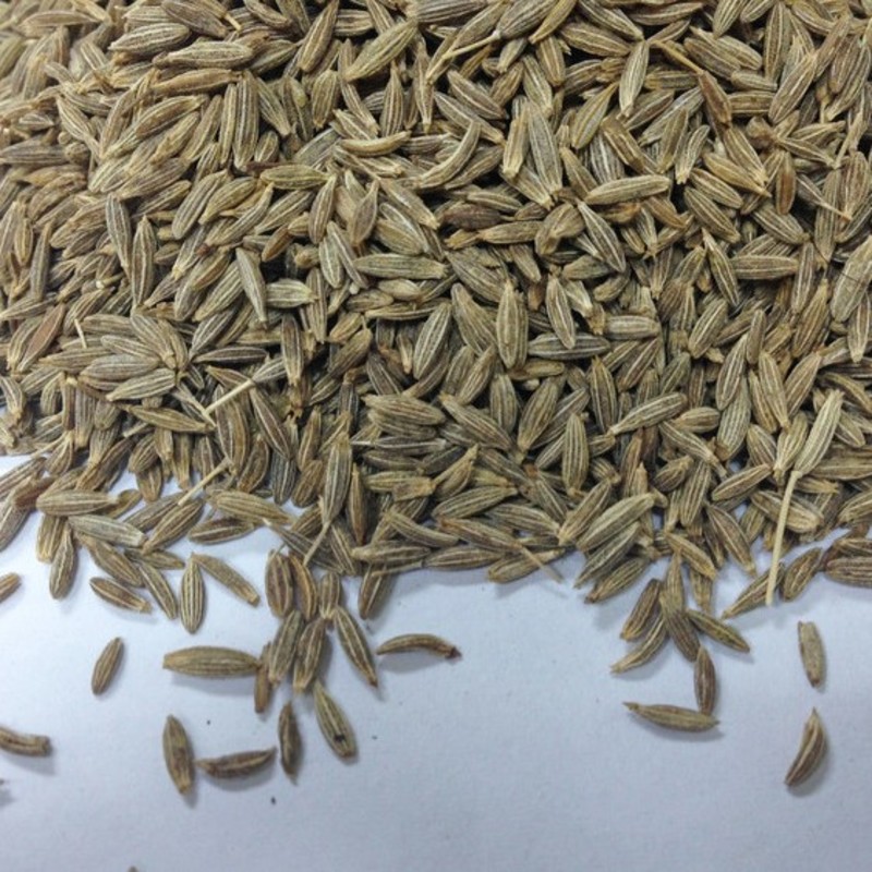 孜然 Cumin