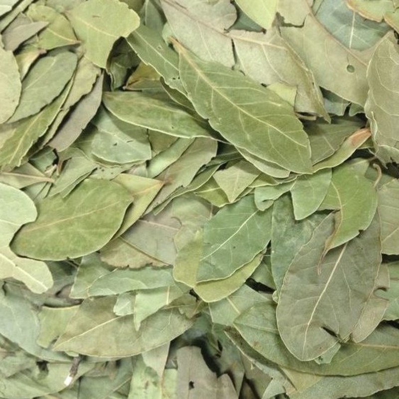 月桂葉 Bay Leaf